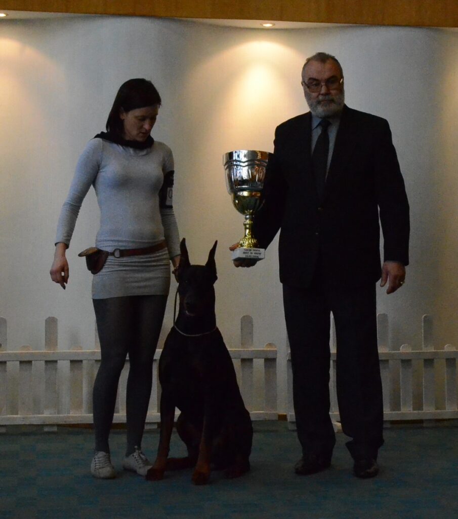 dobermann welpen kaufen