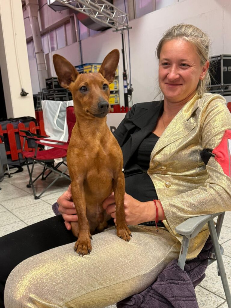 zwergpinscher züchter